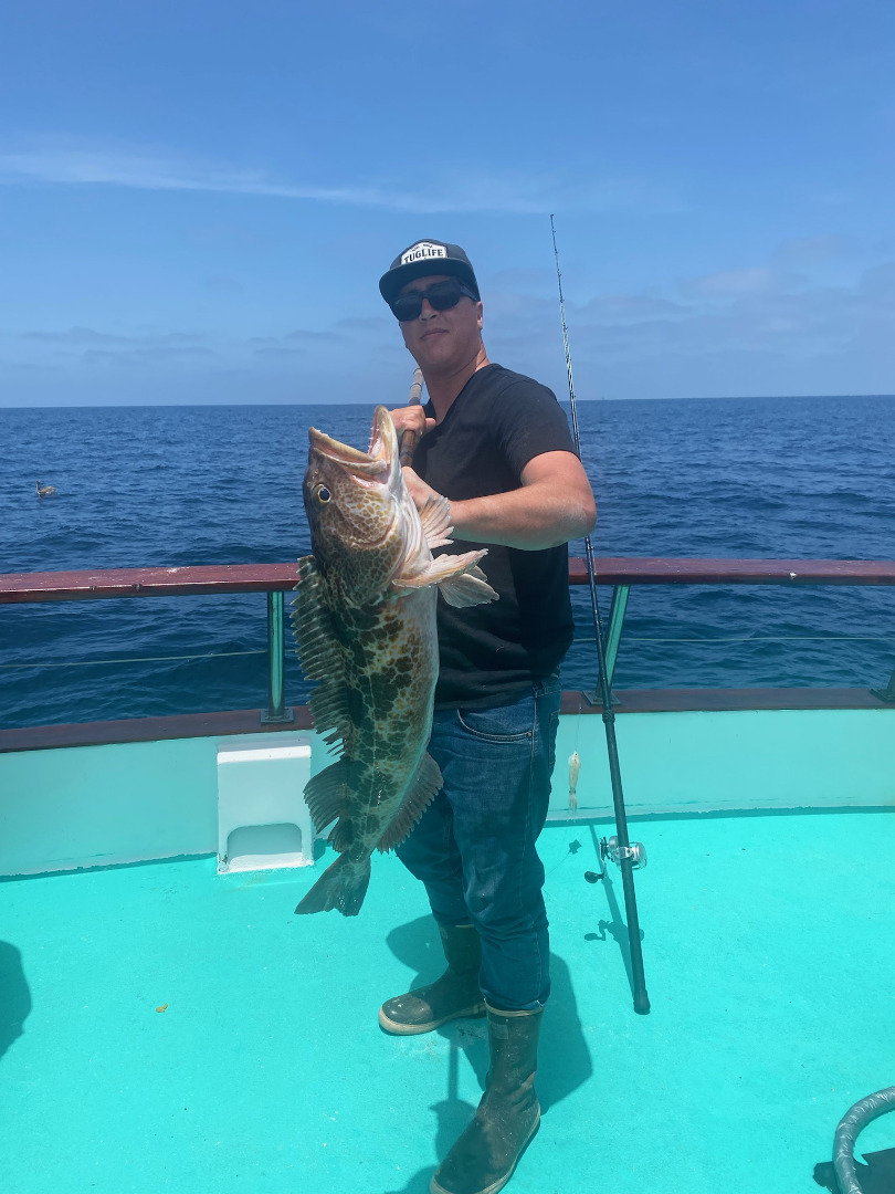 Lingcod caught on todays trip