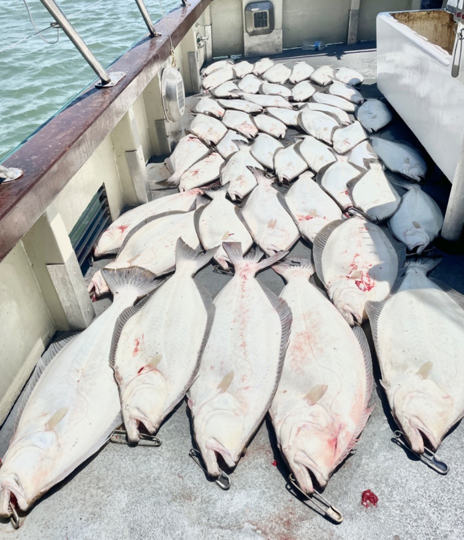 EARLY LIMITS OF HALIBUT!!!