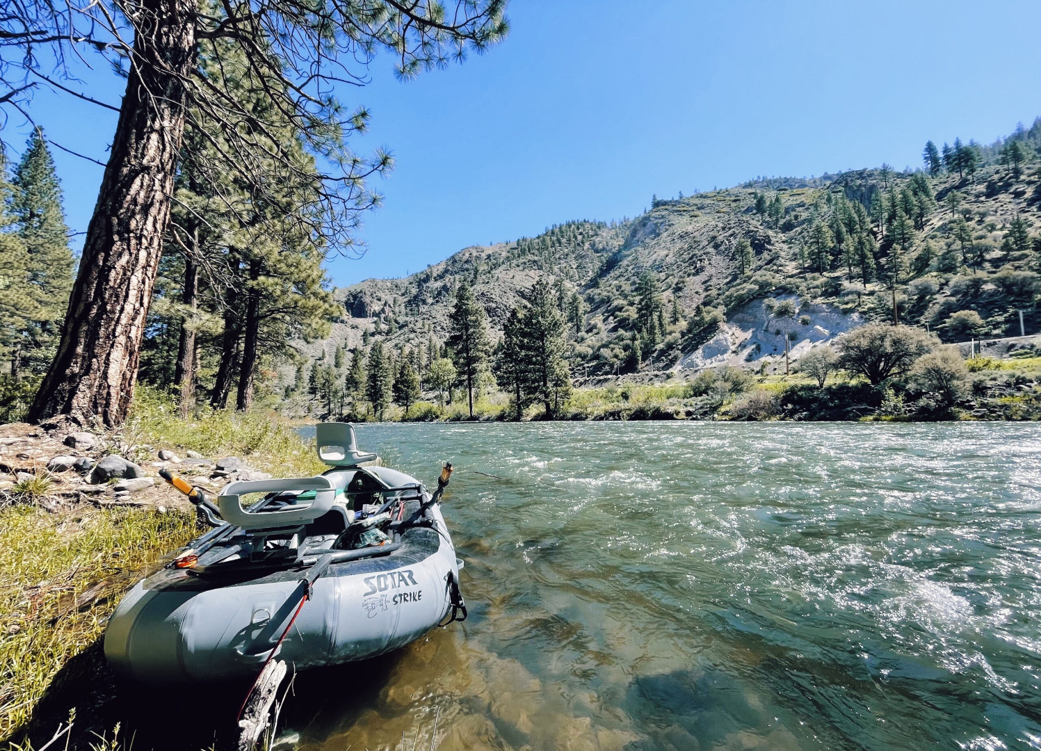 Truckee River Fish Report