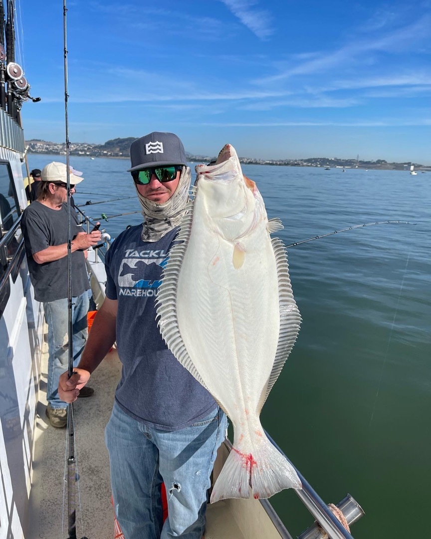 Over 2 fish per rod on halibut