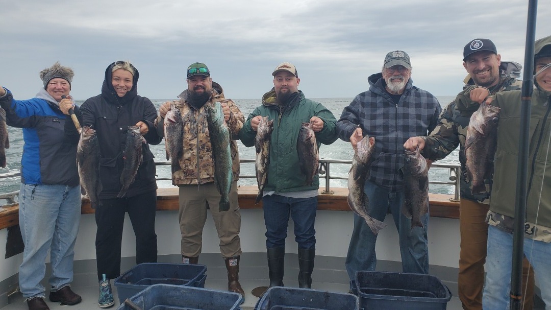 Monster Bass, Beautiful Lingcod!