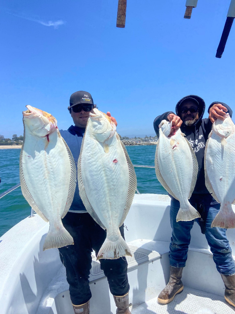 Halibut action heats up on Monterey 