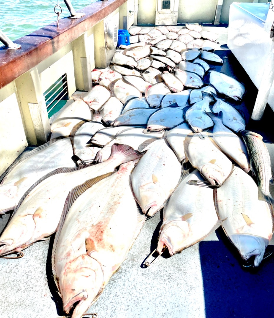 Lovely Martha checks in with 22 limits of halibut!!!