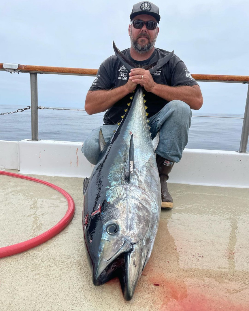 Seaforth Sportfishing Fish Reports