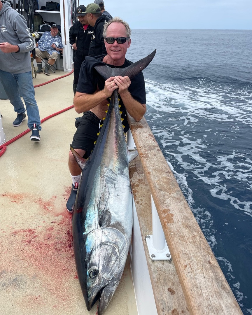 Current Fish Report, San Diego Sporfishing