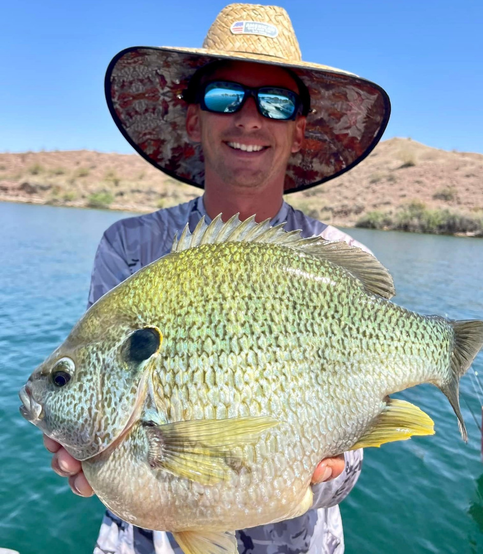 Fishing  Lake Havasu State Park