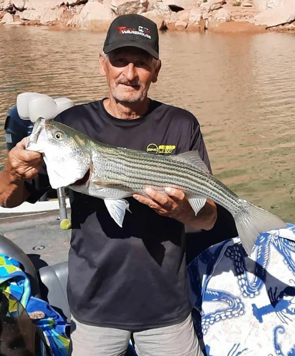 Lake powell fishing deals report