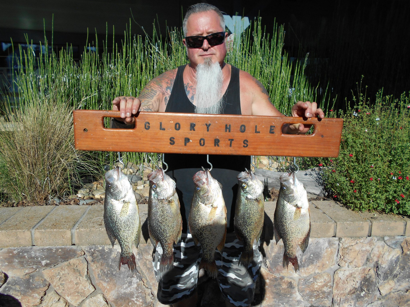 Crappie bite is picking up on Melones 