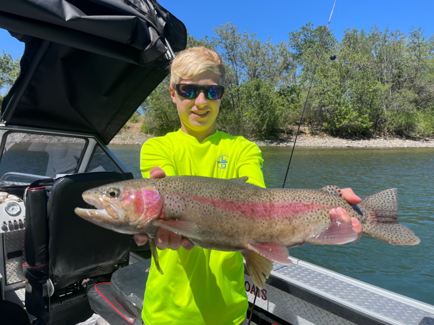 Wild Rainbow Trout Fishing 