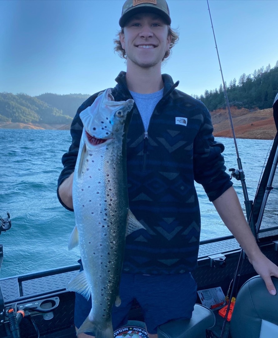 Shasta Lake salmon and trout report!