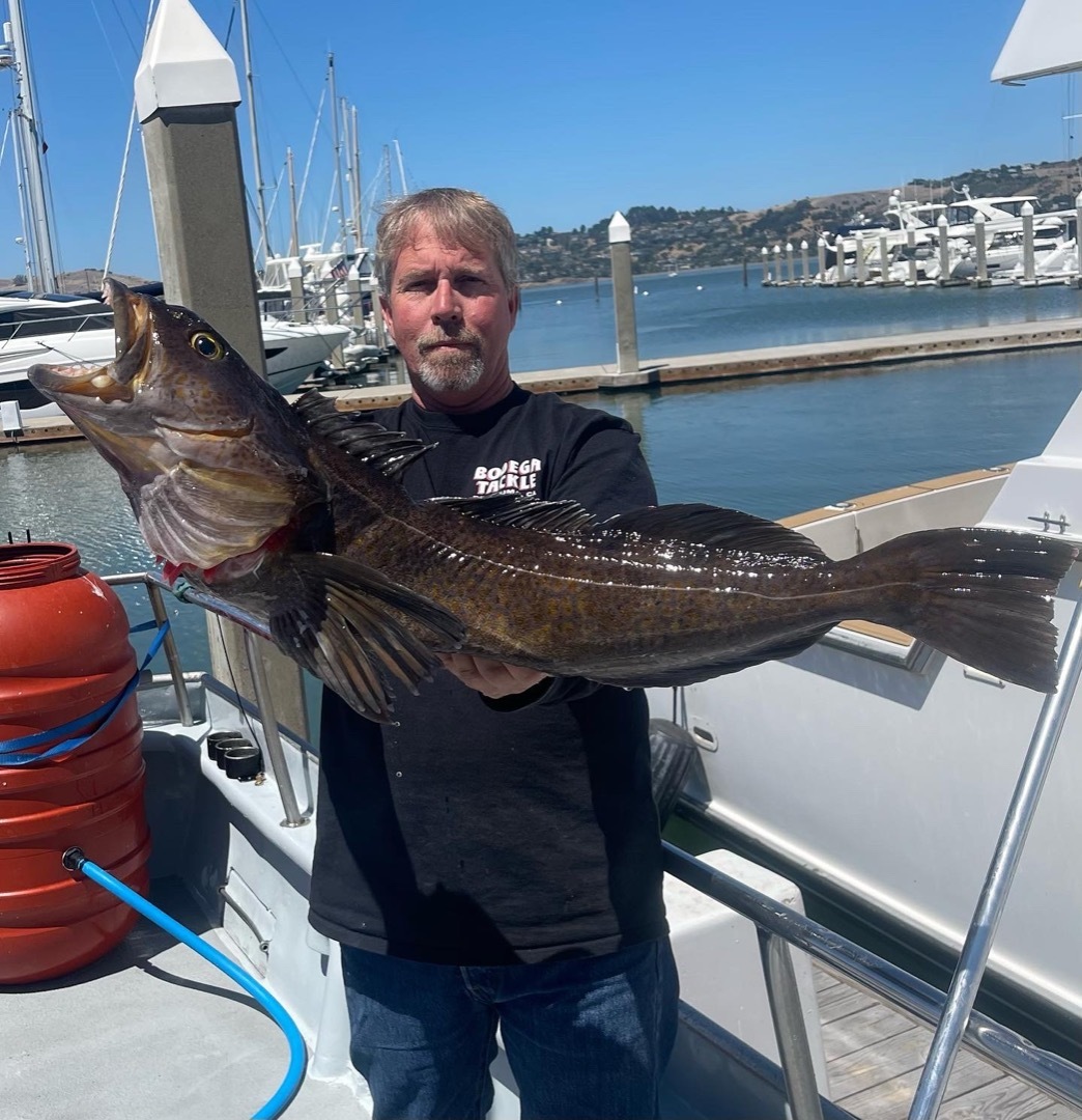 Rockfish/Lingcod !!