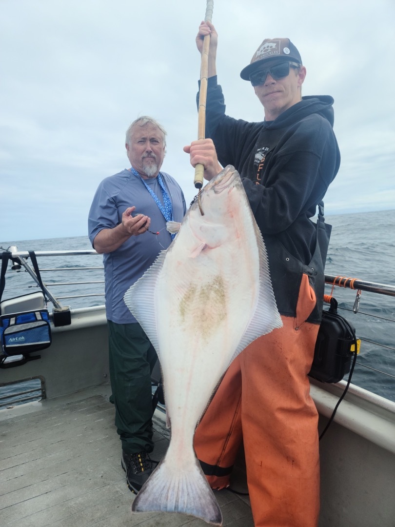 12 hour halibut