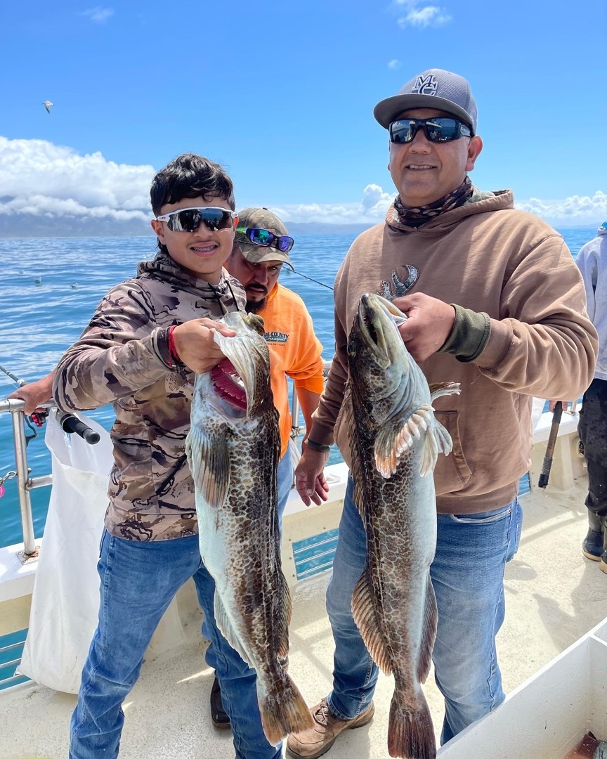 Limits of lingcod mixed bag