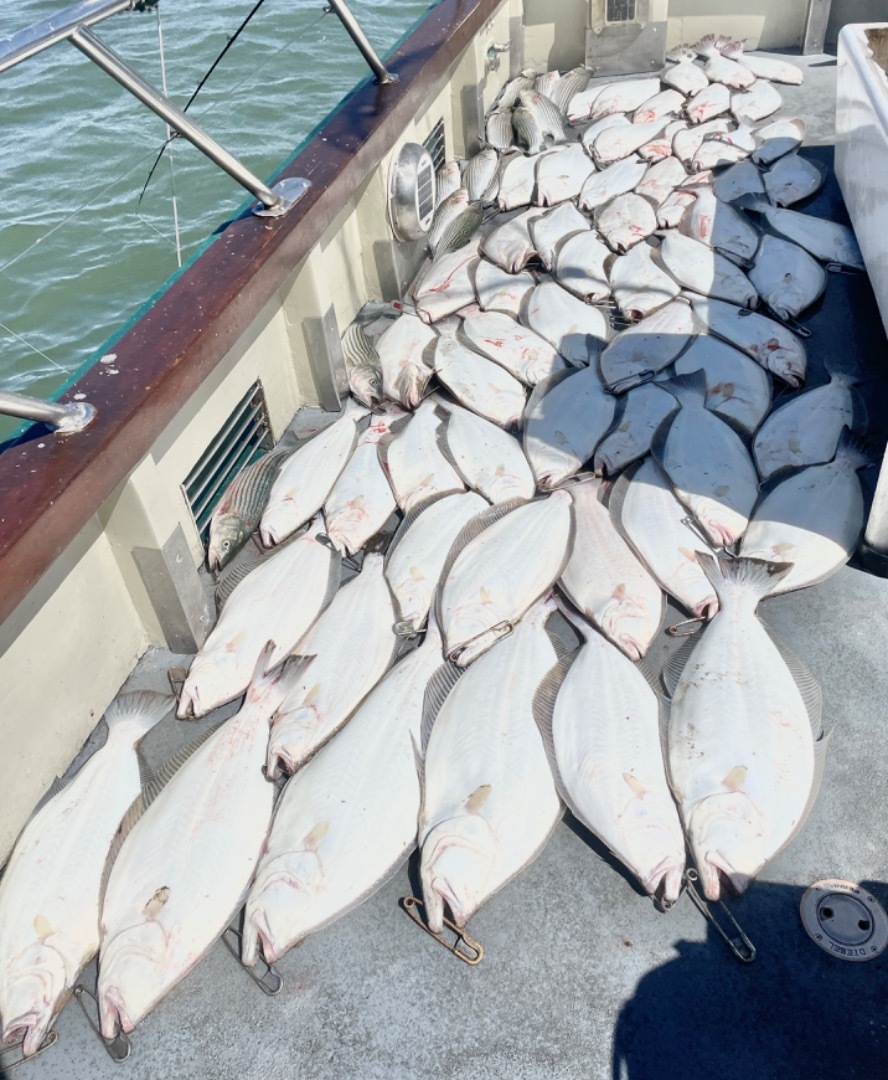 Air Force charter scores LIMITS of HALIBUT!!