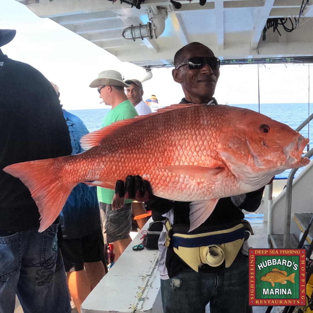 21.6 lb. Red Snapper