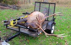 Poachers pay over $15,000 for taking bull elk, buck deer