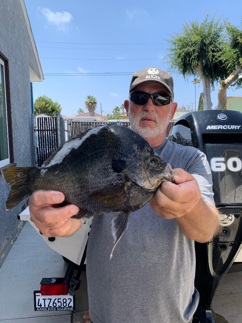 Lower Otay Reservoir Fish Report - Lower Otay Reservoir - The bass