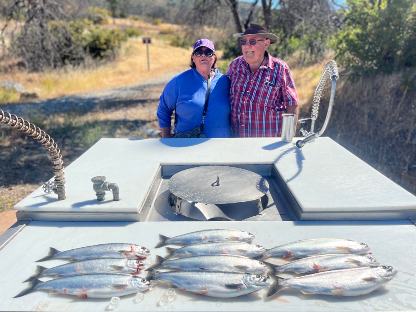 Kokanee Salmon 