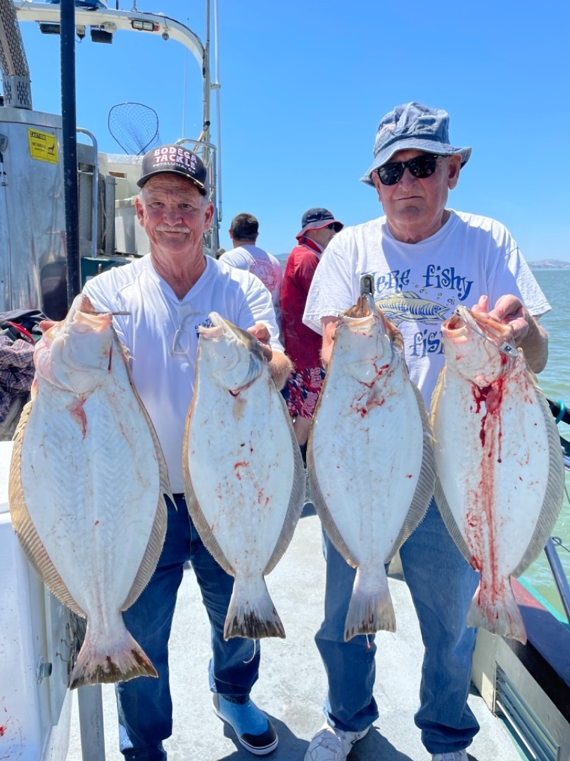 LIMITS OF HALIBUT!!!