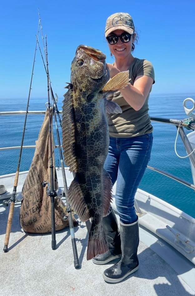 25 lb. Lingcod