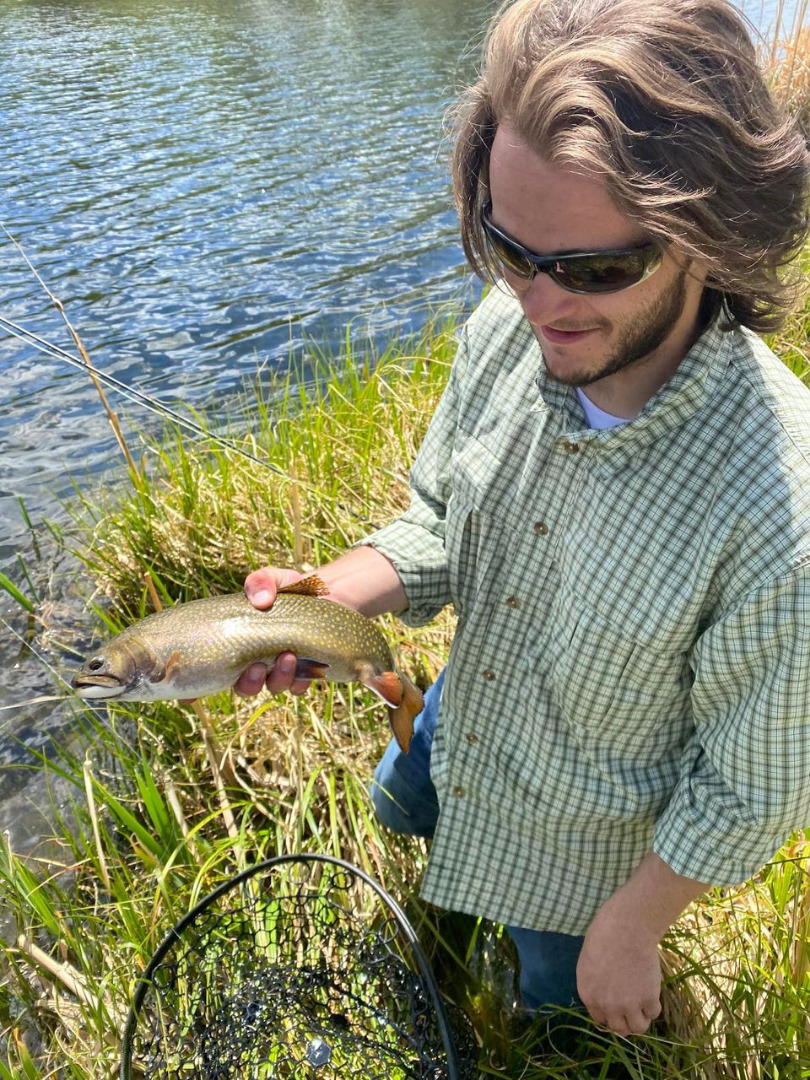 Chasing Brook Trout