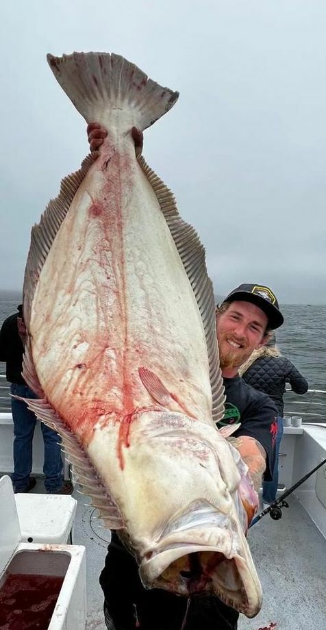 EPIC!!!!!!! Halibut up to 44lbs. 