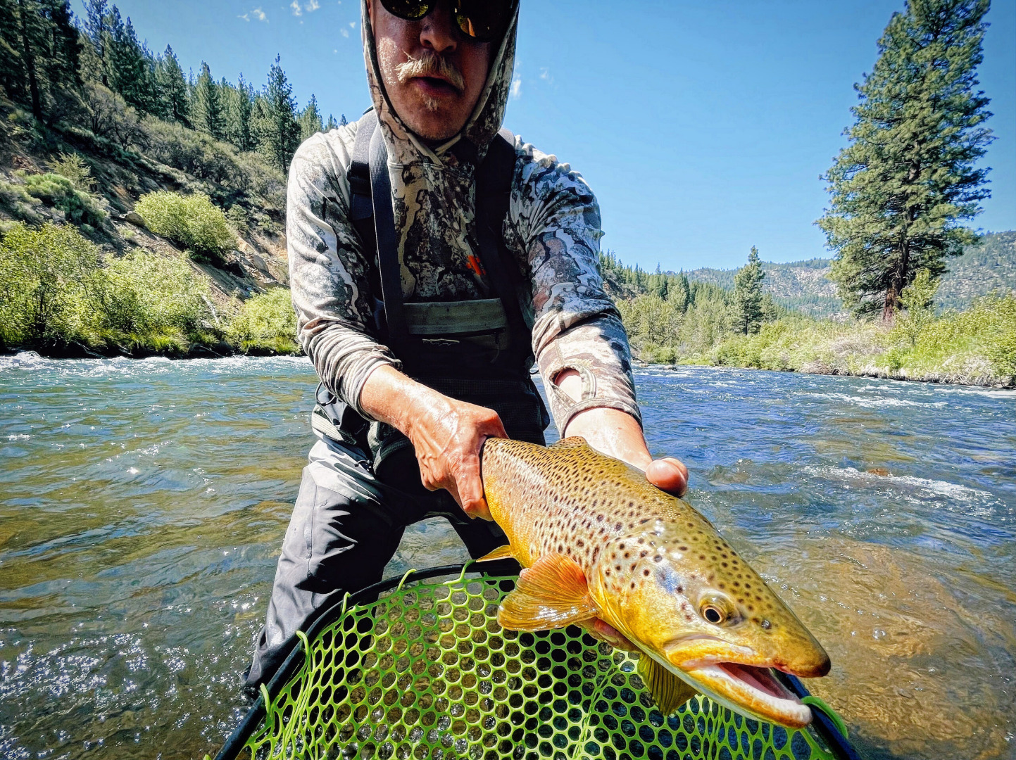 Truckee River Fish Report