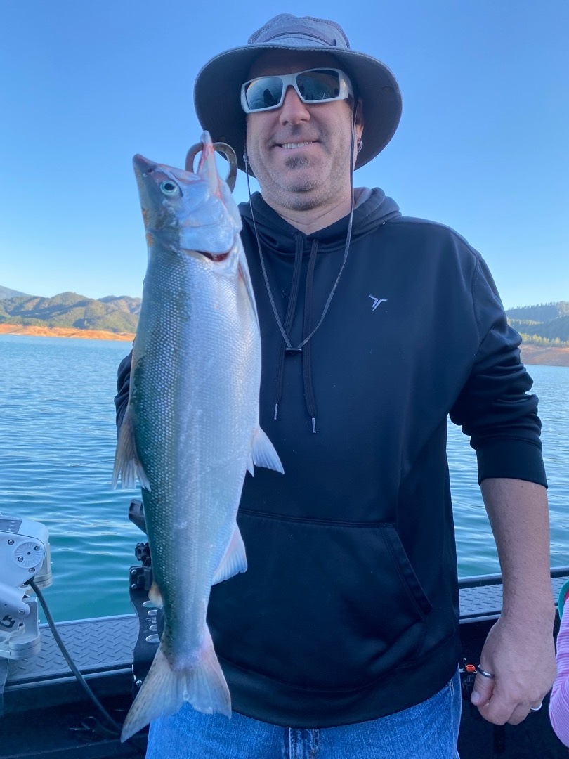 Light crowds and good fishing on Shasta Lake this summer!