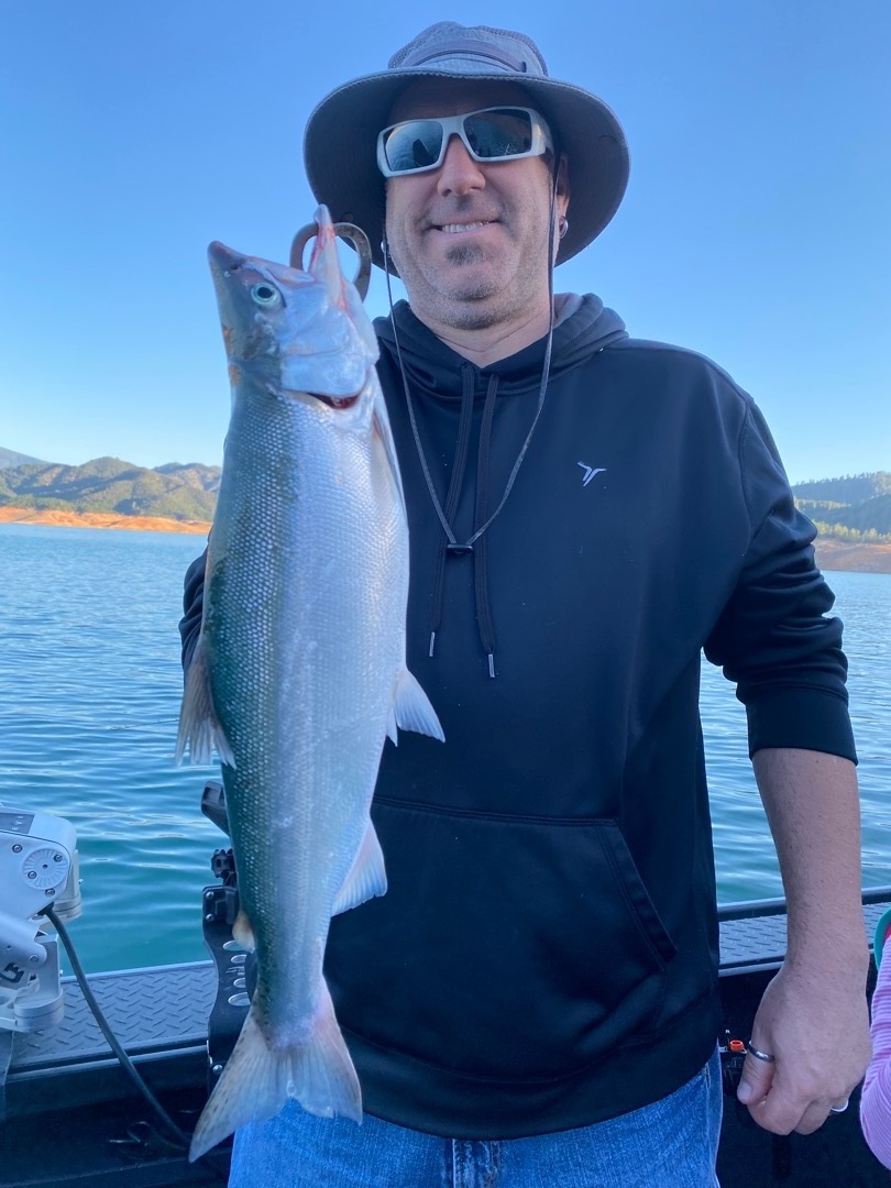 Fishing - Light crowds and good fishing on Shasta Lake this summer!