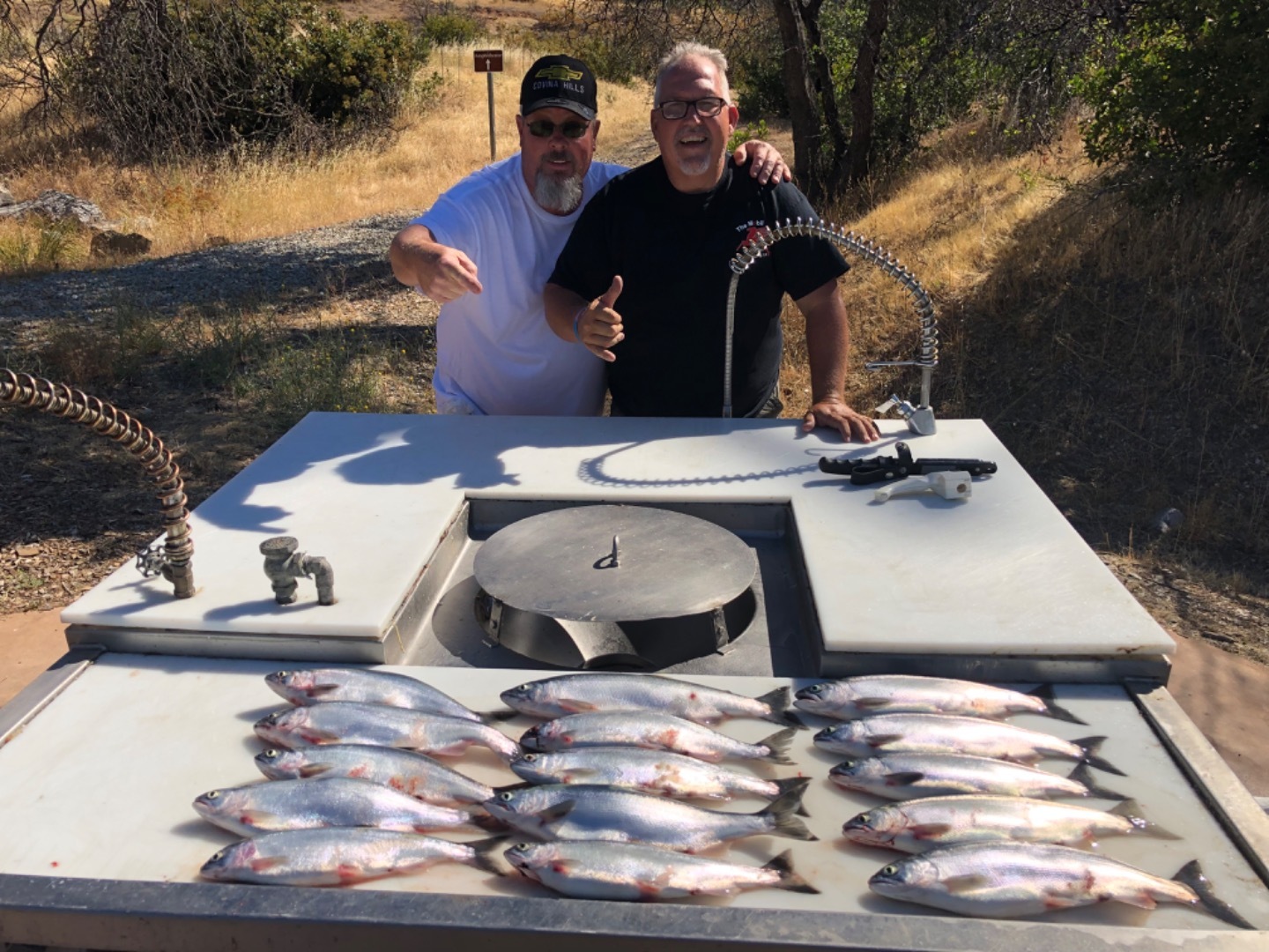 Kokanee Salmon 