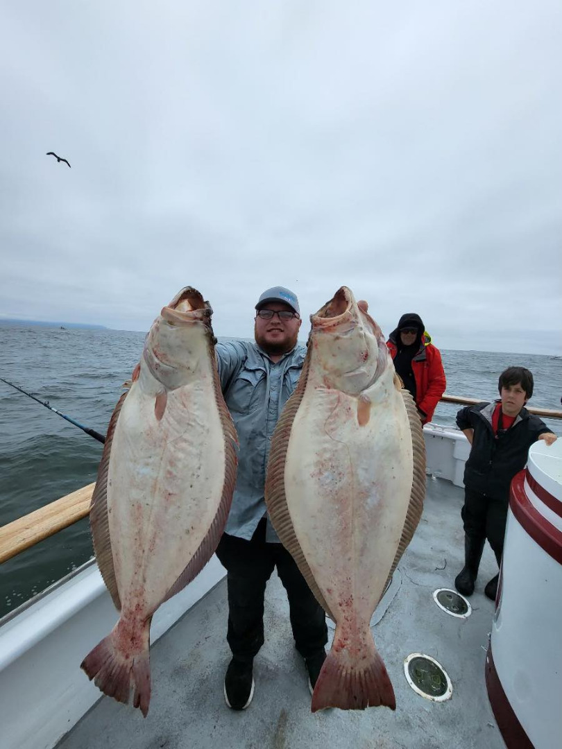 Halibut and salmon on the chew again today