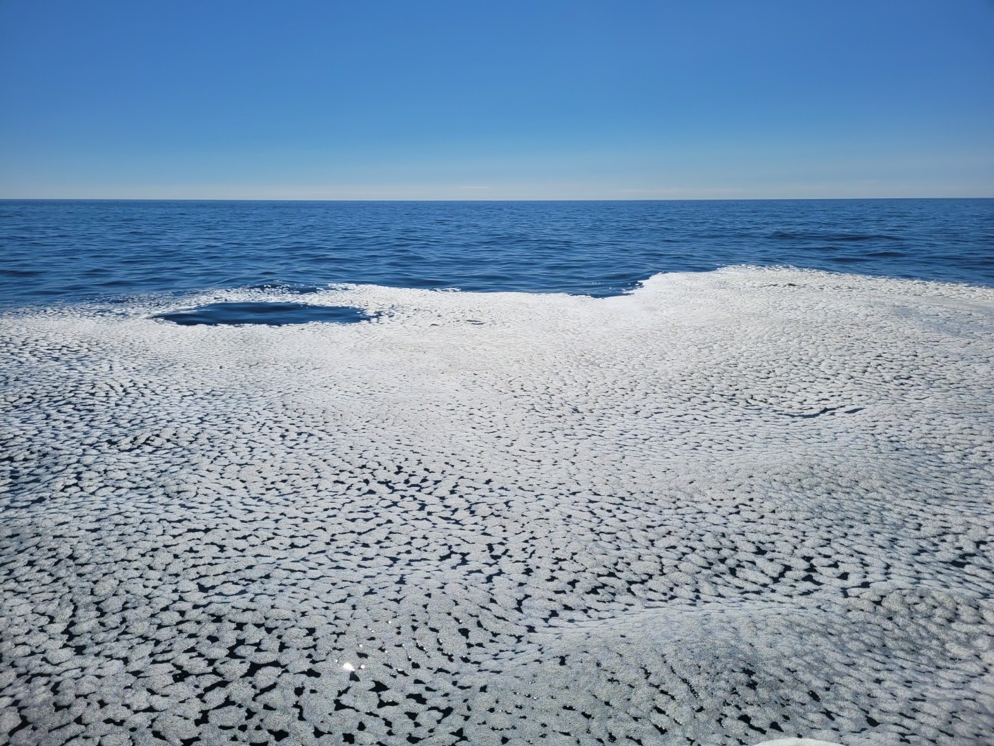 Whale Tracks in the Foam