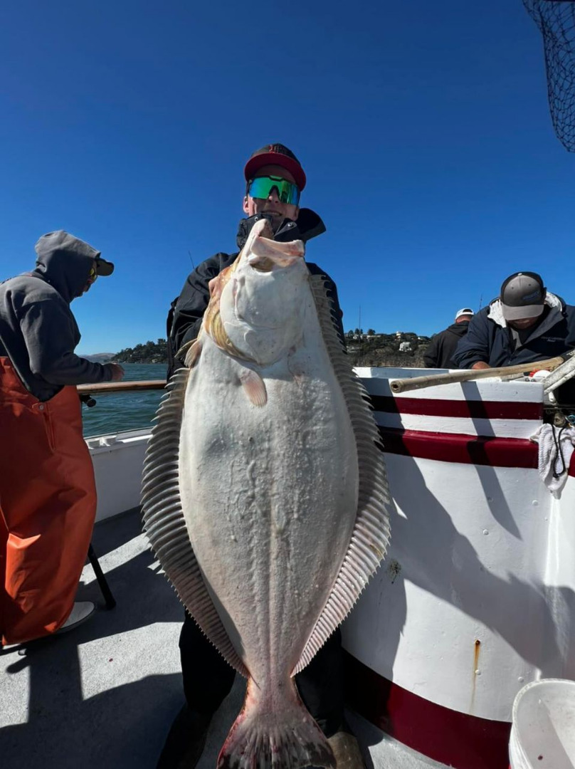 Halibut up to 30lbs.