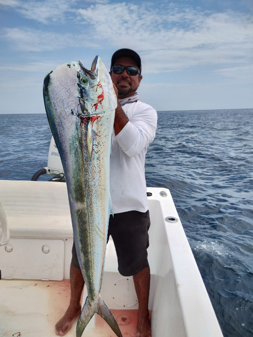 Deep Sea Fishing Report Mid August