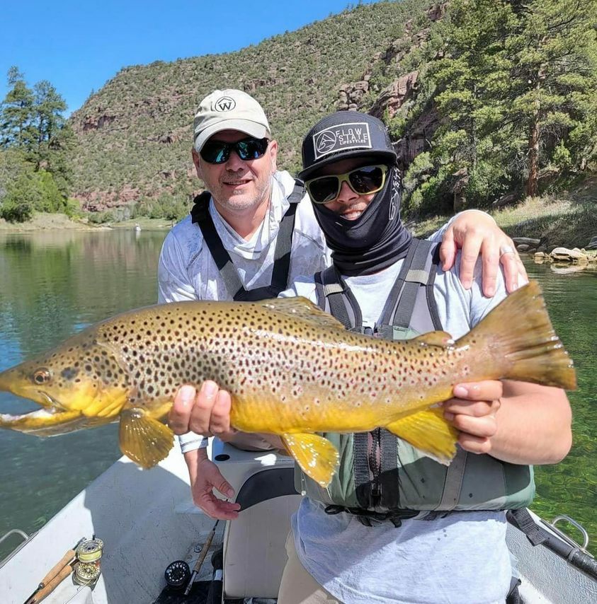 Monster Brown Trout!!