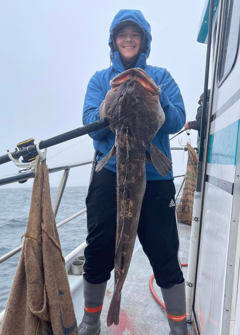 Lingcod up to 22lbs.