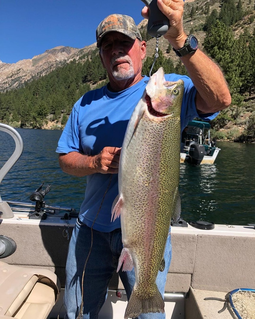 Twin lakes deals fishing