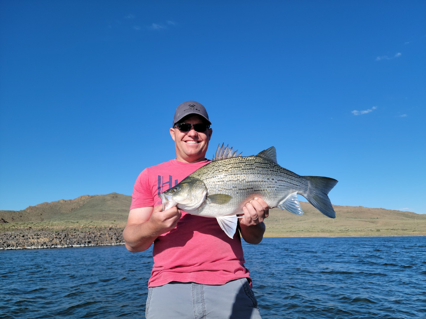 Wild Horse Reservoir - Fish Reports & Map