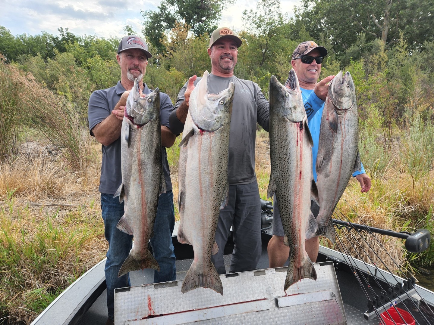 Sacramento River Steelhead Fishing Report — Jeff Goodwin Fishing