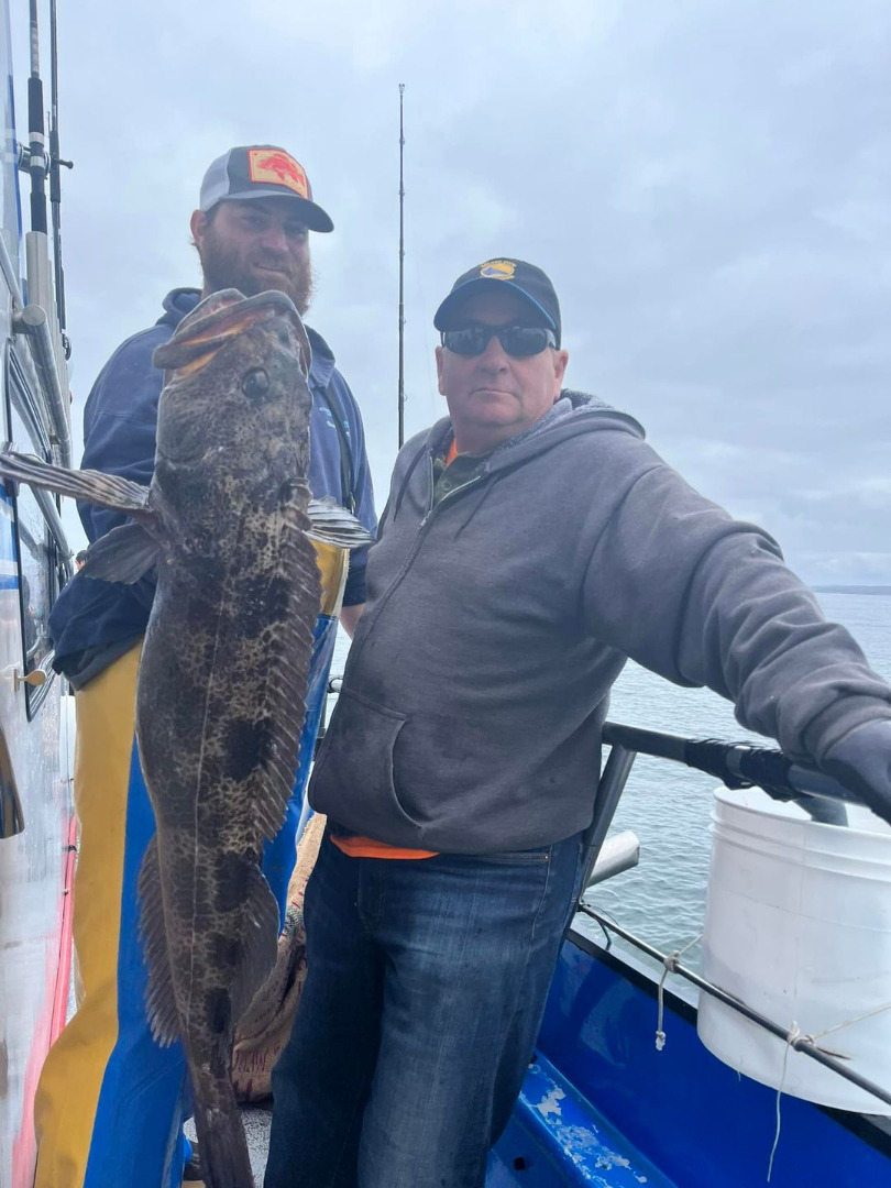 Lingcod up to 30lbs. 