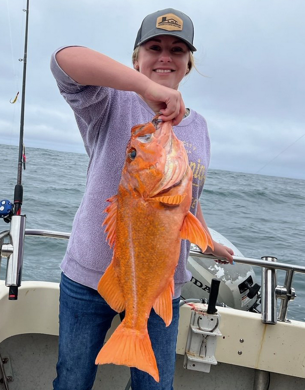 New California State Record Canary Rockfish