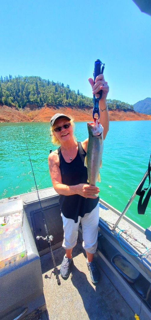 Hot Trout action on Shasta Lake