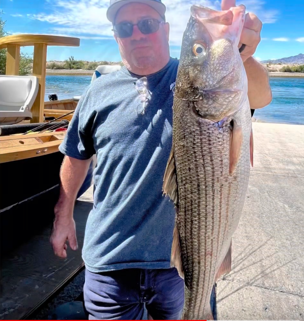 Colorado River Laughlin Fish Report Laughlin, NV