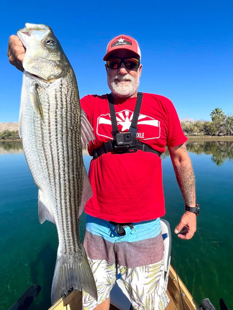 Colorado River Laughlin Fish Report Laughlin, NV