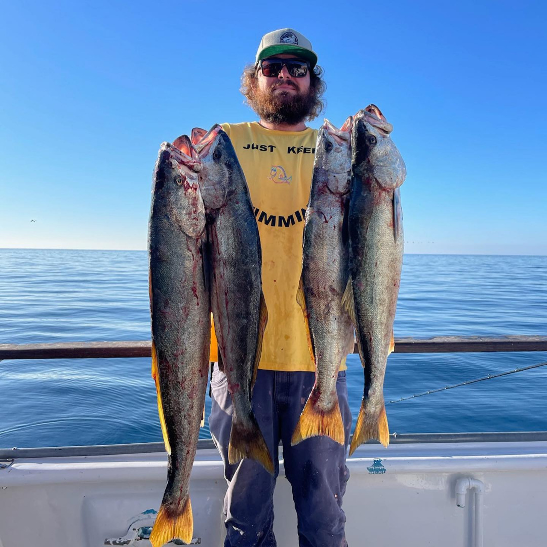 Fish Report Great Day With A Light Load Today