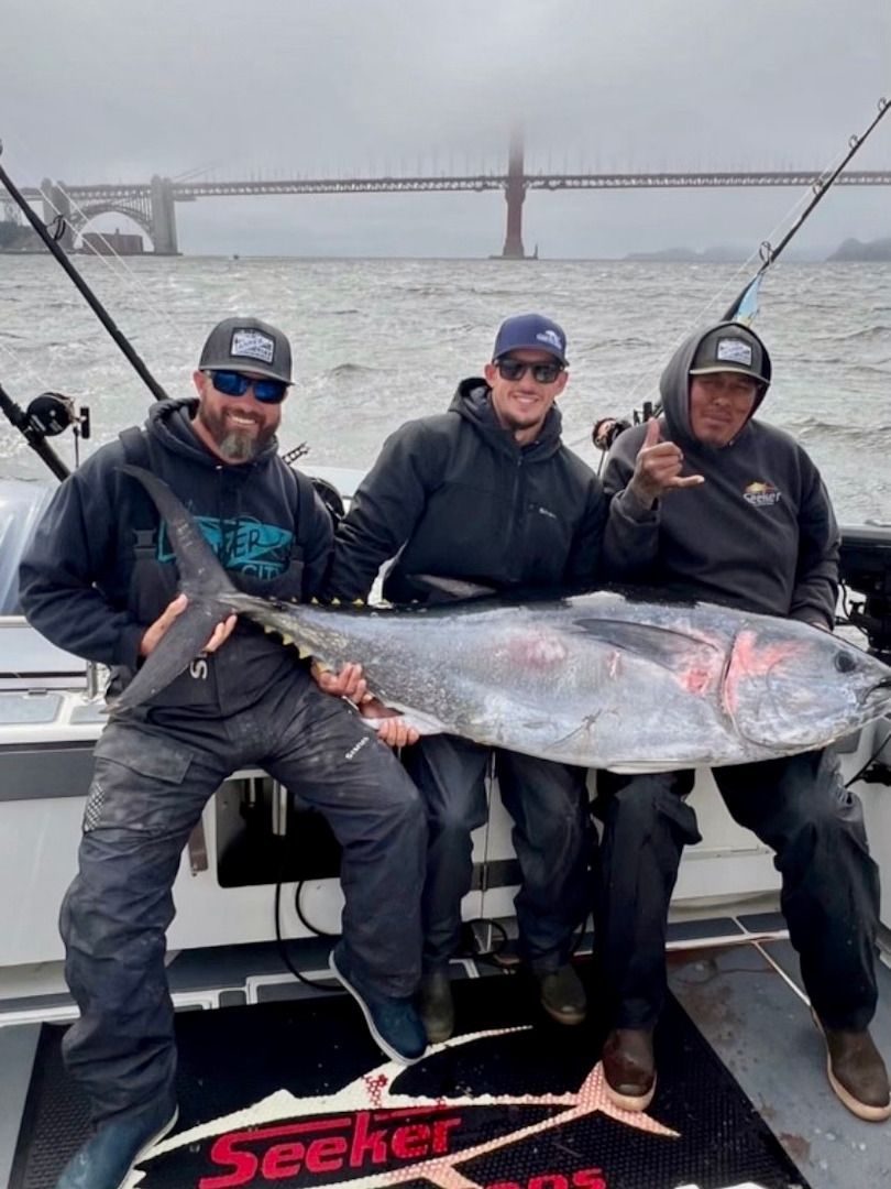 Tuna making their way through nearby water