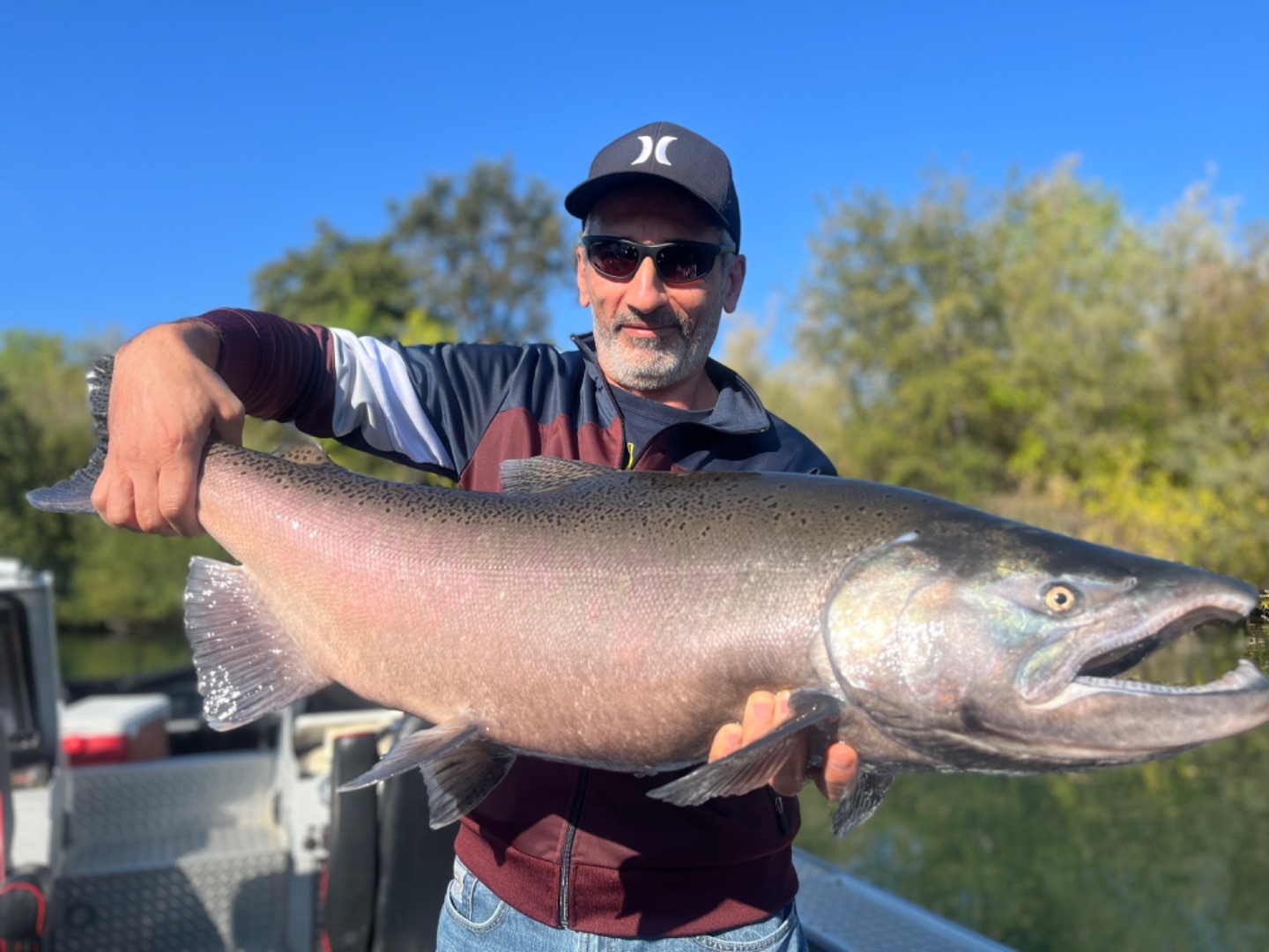 King Salmon on the Sacramento River