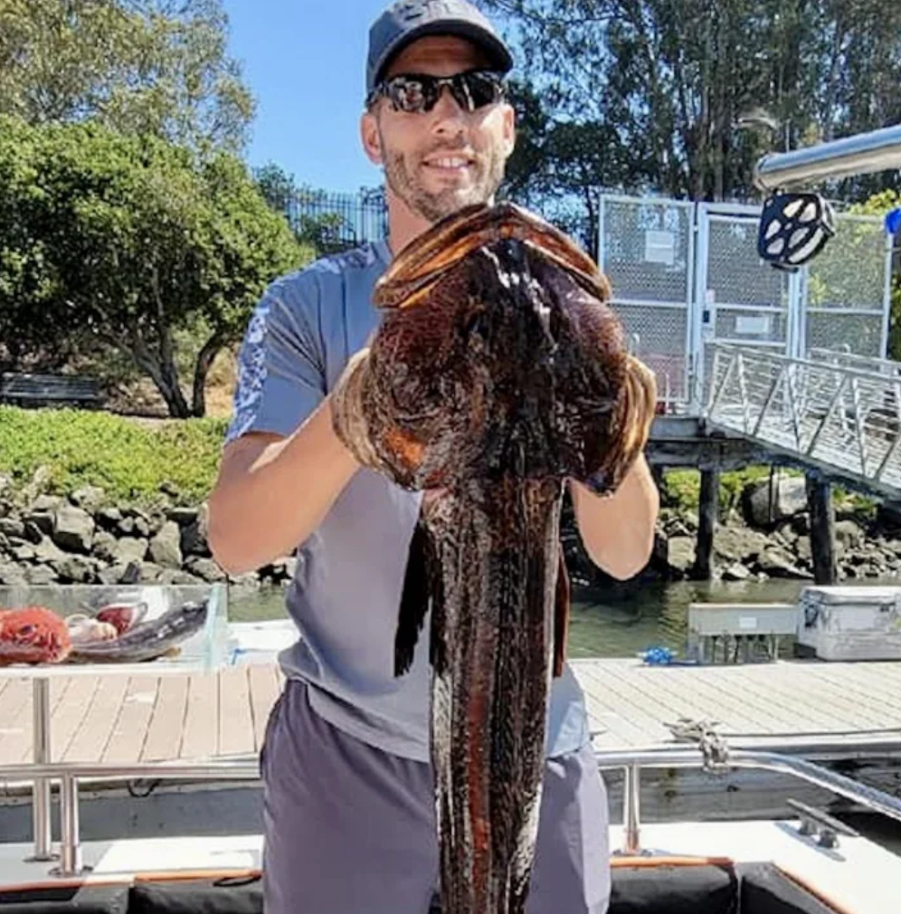 Rockfish, lingcod and halibut bite going strong cover picture