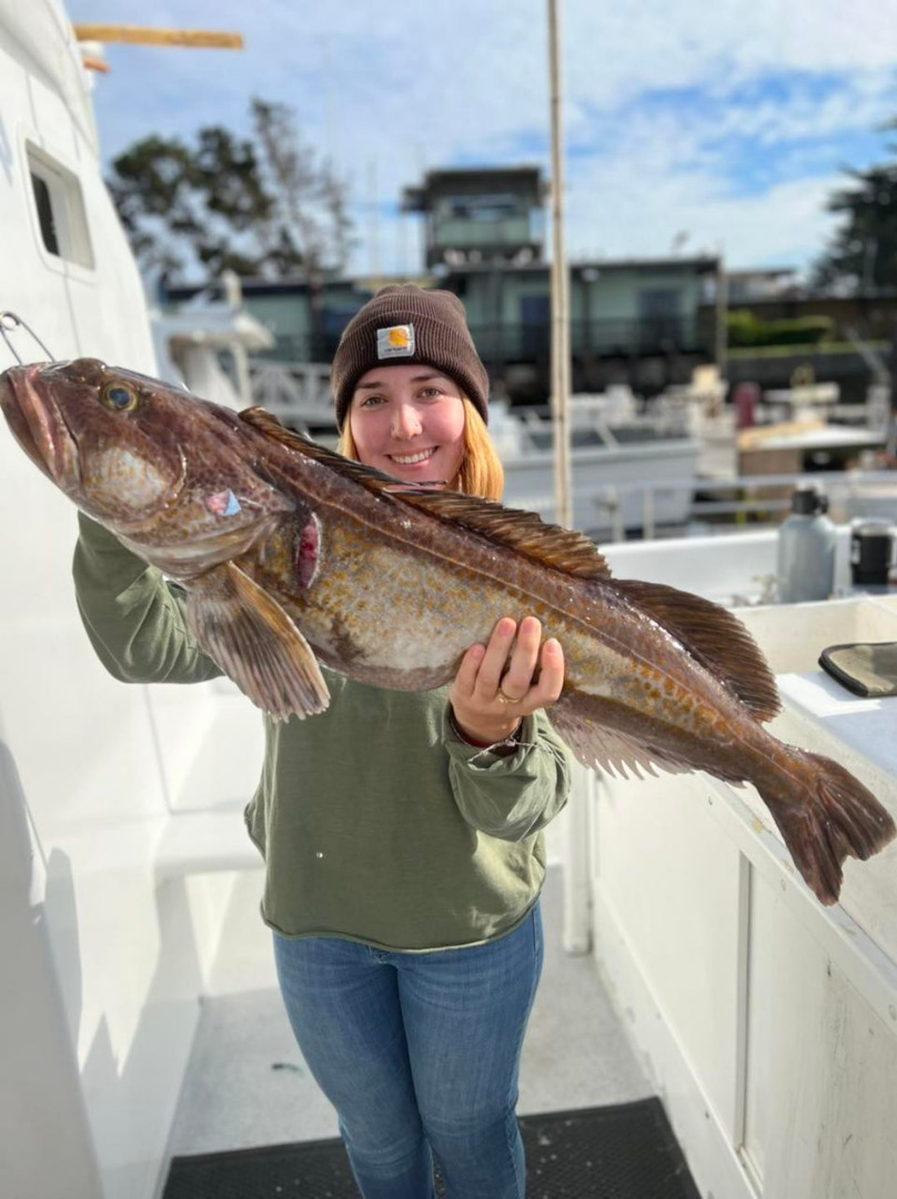 Fishing was wide open at the islands today