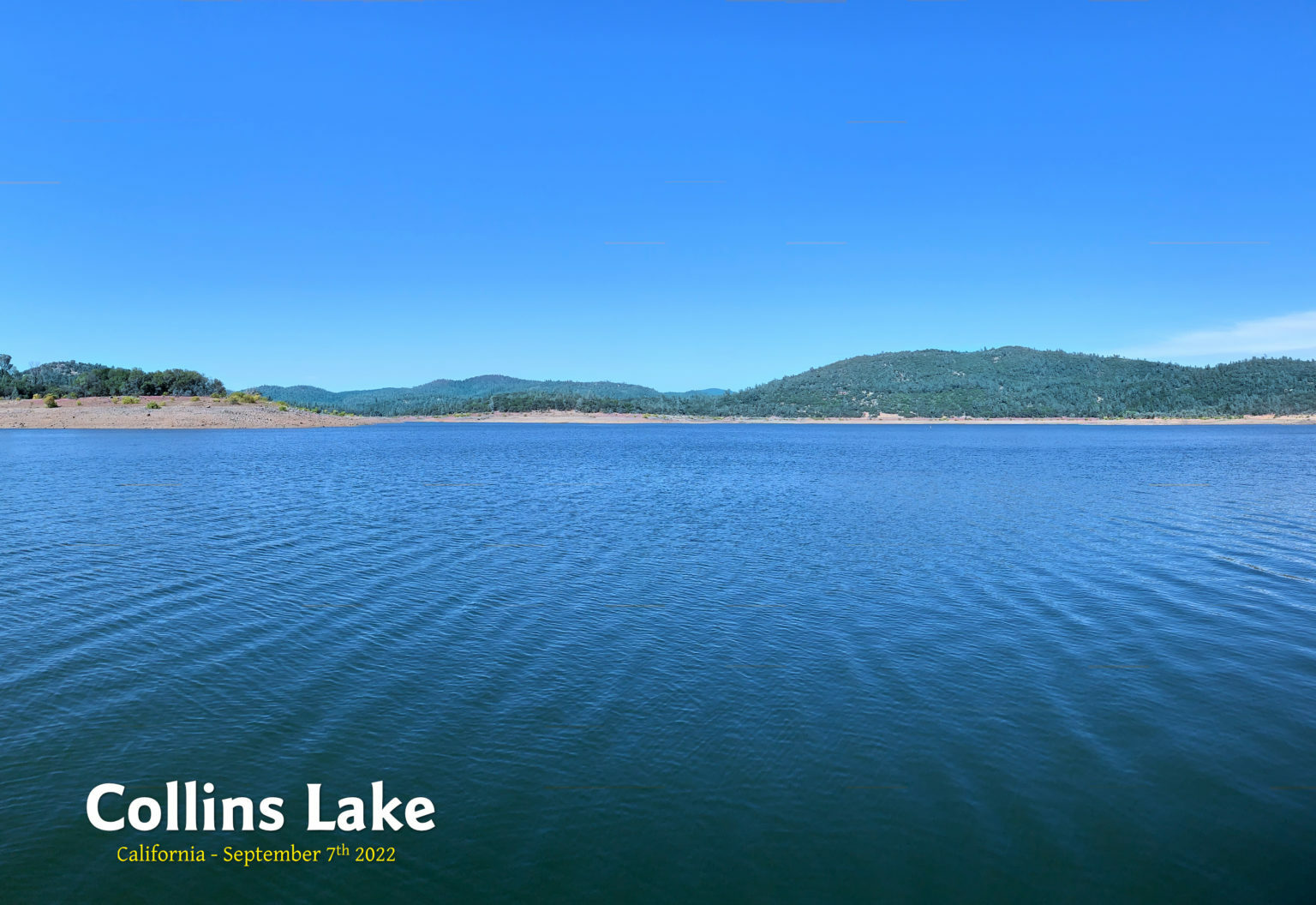 Collins Lake Fishing Report